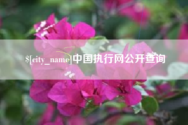 玉林中国执行网公开查询