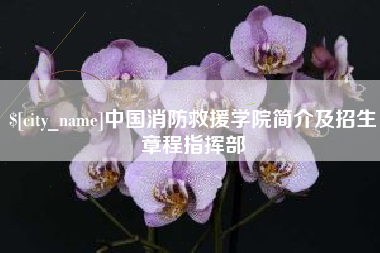 玉林中国消防救援学院简介及招生章程指挥部