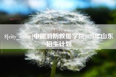 玉林中国消防救援学院2021年山东招生计划