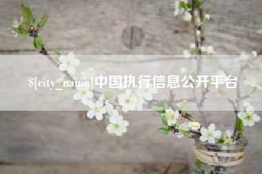 玉林中国执行信息公开平台
