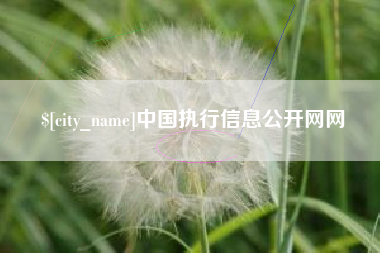 玉林中国执行信息公开网网