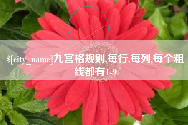 玉林九宫格规则,每行,每列,每个粗线都有1-9