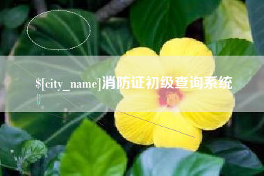 玉林消防证初级查询系统