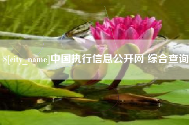玉林中国执行信息公开网 综合查询