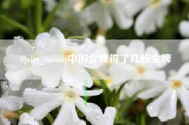 玉林中国金牌得了几枚金牌