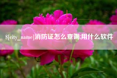 玉林消防证怎么查询,用什么软件