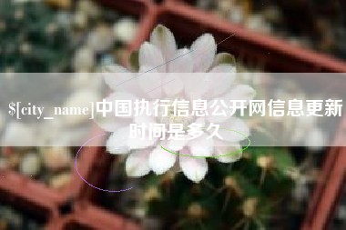 玉林中国执行信息公开网信息更新时间是多久