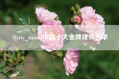 玉林中国十大金牌律师名单