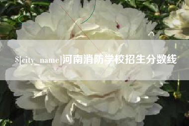 玉林河南消防学校招生分数线