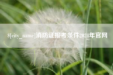 玉林消防证报考条件2024年官网