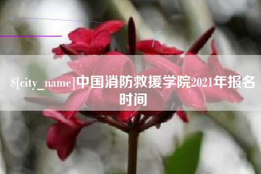 玉林中国消防救援学院2021年报名时间