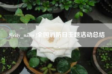 玉林全国消防日主题活动总结
