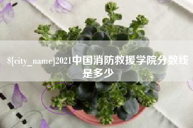 玉林2021中国消防救援学院分数线是多少