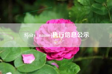 玉林执行信息公示