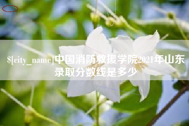 玉林中国消防救援学院2021年山东录取分数线是多少