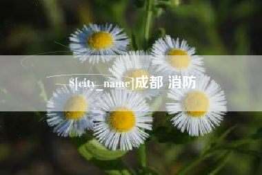 玉林成都 消防