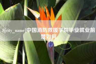玉林中国消防救援学院毕业就业前景如何