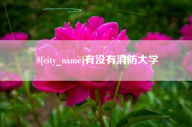 玉林有没有消防大学