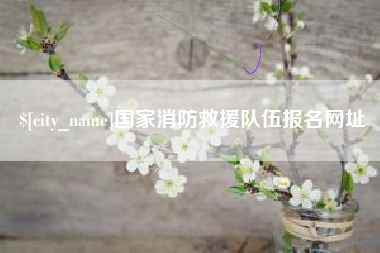 玉林国家消防救援队伍报名网址