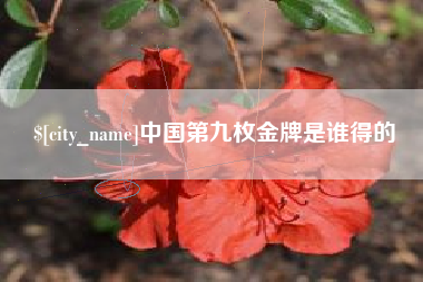 玉林中国第九枚金牌是谁得的