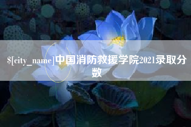 玉林中国消防救援学院2021录取分数
