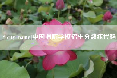 玉林中国消防学校招生分数线代码