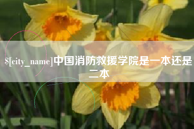 玉林中国消防救援学院是一本还是二本