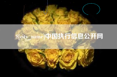 玉林中国执行信息公开网