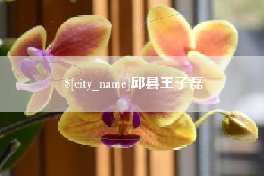 玉林邱县王子磊