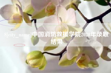 玉林中国消防救援学院2020年录取结果