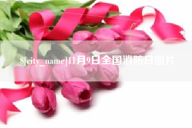 玉林11月9日全国消防日图片