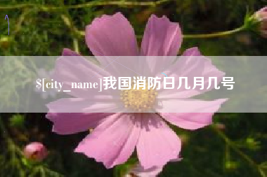 玉林我国消防日几月几号