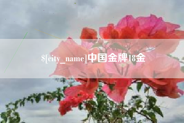 玉林中国金牌18金