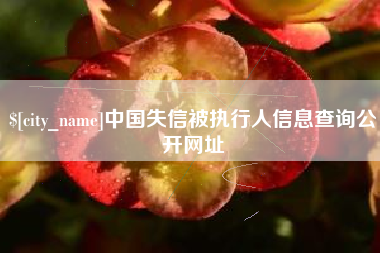 玉林中国失信被执行人信息查询公开网址