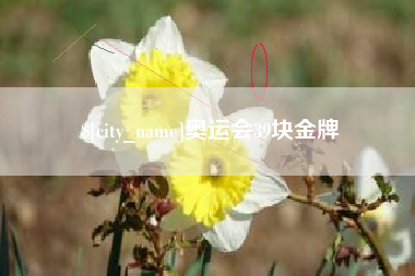 玉林奥运会39块金牌