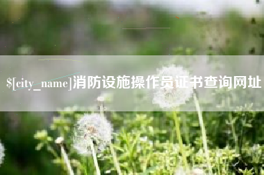 玉林消防设施操作员证书查询网址