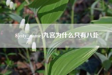 玉林九宫为什么只有八卦