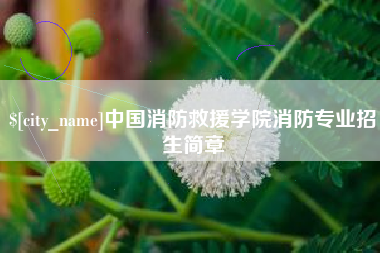 玉林中国消防救援学院消防专业招生简章