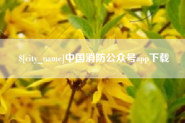 玉林中国消防公众号app下载