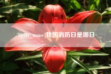玉林我国消防日是哪日
