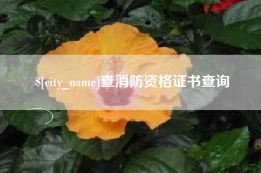 玉林查消防资格证书查询