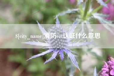 玉林消防ccc认证什么意思