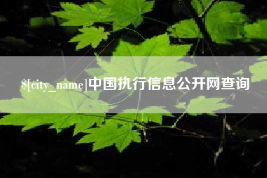 玉林中国执行信息公开网查询