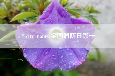 玉林全国消防日哪一
