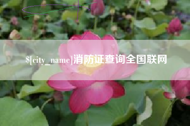 玉林消防证查询全国联网