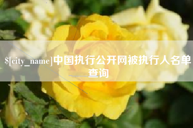 玉林中国执行公开网被执行人名单查询