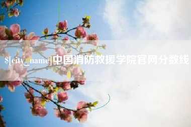 玉林中国消防救援学院官网分数线