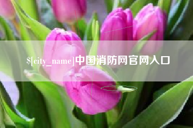 玉林中国消防网官网入口