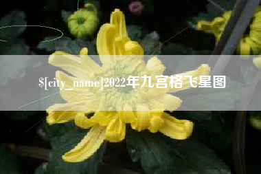 玉林2022年九宫格飞星图