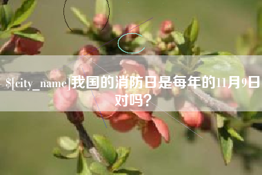 玉林我国的消防日是每年的11月9日对吗？